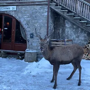 Jaszczurówka 26 , Zakopane Polska
